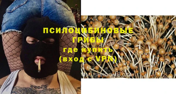 дурь Костерёво