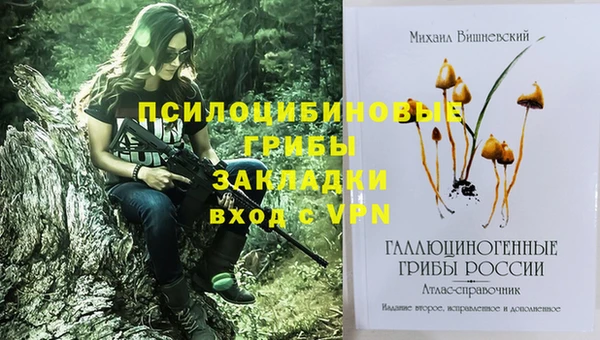 соль курить ск Пересвет