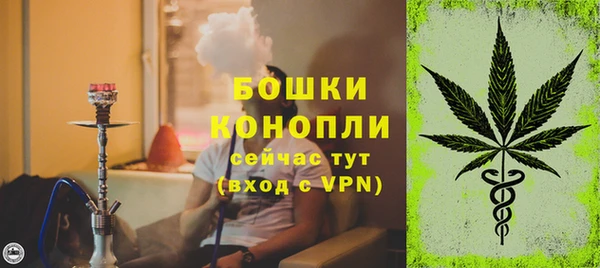 тгк Пестово